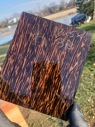 stabilized black palm scales 2022.11.29.001