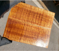curly koa stabilized scales 2.26.2023 4