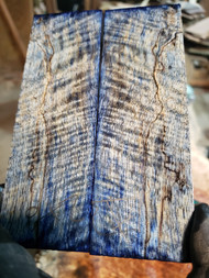 blue stabilized dyed curly mango scales 2023. 3.03.A