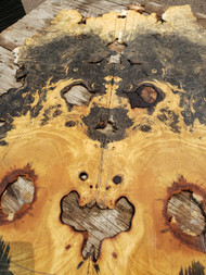 Buckeye burl Bookmatch B1 6.27.2023
