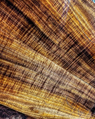 tazmanian blackwood bookmatch 