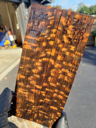 Lacewood stabilized scales 10.12.23 M