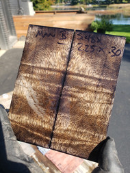 Mango curly stabilized scales 10.12.23  B