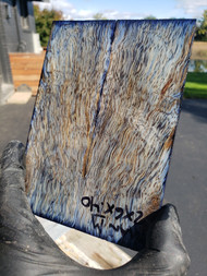 Mango curly stabilized scales 10.12.23  M