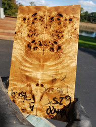 Mappa Burl stabilized scales 10.12.23  A