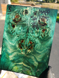 Mappa Burl stabilized scales 10.12.23  B