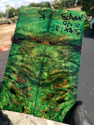 Maple Burl stabilized scales 10.12.23  K