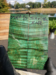 curly Maple  stabilized scales 10.12.23  G