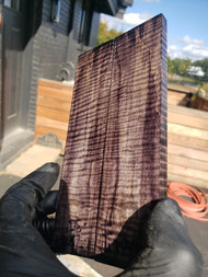 curly  Maple  stabilized scales 10.12.23  I