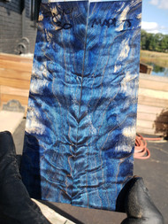 curly Maple  stabilized scales 10.12.23  J