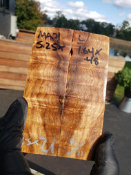  curly Maple  stabilized scales 10.12.23  L