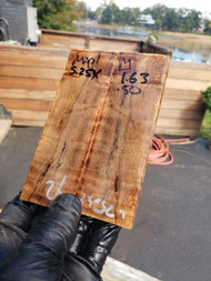 curly Maple  stabilized scales 10.12.23  M