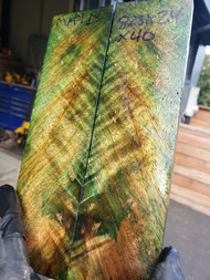 curly Maple  stabilized scales 10.12.23  N XXL