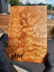 quilted curly Maple  stabilized scales 10.12.23  O