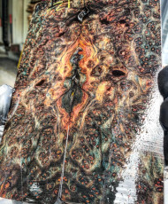 thin Space cake redwood burl stabilized scales 10.12.23  H