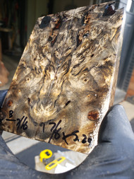 Buckeye burl stabilized scales 10.12.23  X