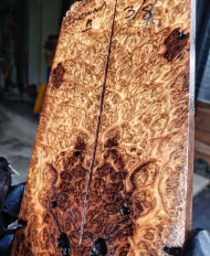 Concinna burl stabilized scales 10.12.23  A