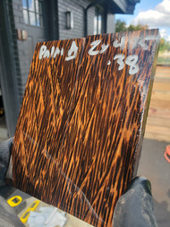 Black palm stabilized scales 10.12.23  A