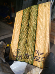 ironbark eucalyptus stabilized scales 10.12.23  C