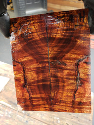 Curly Koa stabilized scales  10.18.23 H