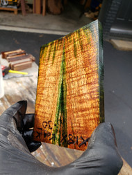 Curly Koa stabilized scales  10.18.23 K