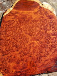 Red amboyna burl ONE PIECE TOP A