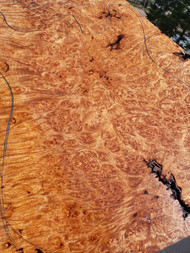 Maple burl  1pc 3  4.16.24