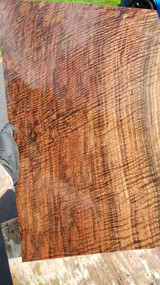 bastogne curly walnut 1pc super curl