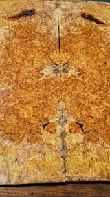 amboyna burl bookmatch 2 6.24.24