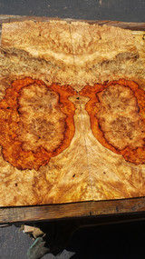 amboyna burl bookmatch 1 6.24.24