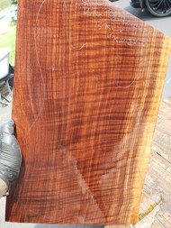 Claro curly walnut 1pc super curl  001