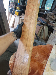 curly maple neck blank  1.5" thick  9.24.2024.002