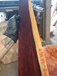 camatillo fingerboard  9.17.24 A