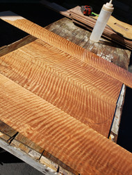 satinwood backs and sides 9.02.24.001