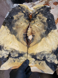 buckeye burl neck through bookmatch B