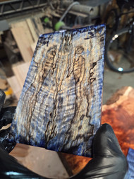 Curly spalted mango blue stabilized scales MANG3
