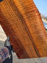 Bastogne walnut 1pc top 4.10.26 001