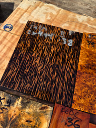 black palm stabilized scales 1