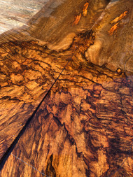 cocobolo spalted curly crotch bookmatch (9) 11/24/25