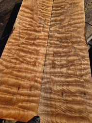 Neck thru Quilted maple Bookmatch (NT3) 11/14/25