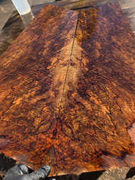 XL cocobolo spalted curly crotch bookmatch (FLVA) 11/17/25