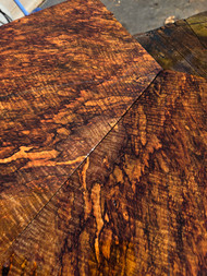 XL cocobolo spalted curly crotch bookmatch (FLV B) 11/17/25