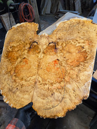 boxelder burl bookmatch box 1.7.26.001