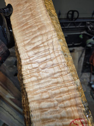 Quilted maple billet H 1.7.26