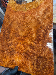 Lace redwood  burl  2 12.8.2025