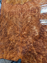 Lace redwood  burl  3 12.8.2025