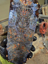 Maple Burl stabilized scales 1.20.26.001