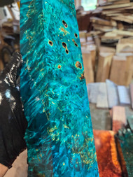 Blue boxelder burl  turning spindle 3.2025