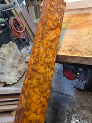 Gold camphor burl peppermill blank turning spindle  I