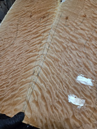 quilted maple Bookmatch explorer sized 2 2.2.26